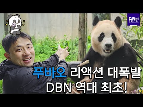 「대나무」의 한국수어 표현