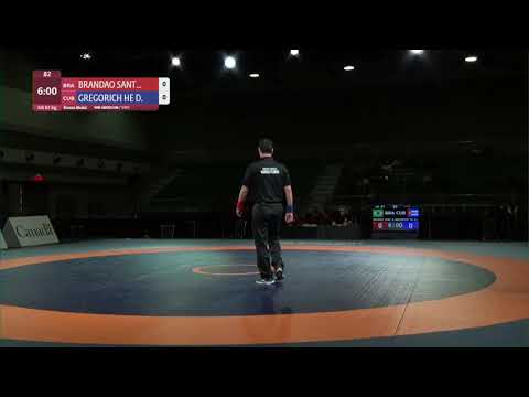BRONZE GR - 87 kg: R. BRANDAO SANT (BRA) v. D. GREGORICH HE (CUB)