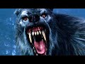 Werewolf Attack Scene Van Helsing 2004 Hindi Dubbed