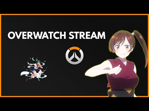 OVERWATCH INVASION PVE