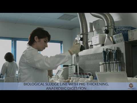 Ambienthesis - Gruppo Green Holding