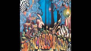 Magic Mushroom Band  - Are You Experienced {Jimi Hendrix}