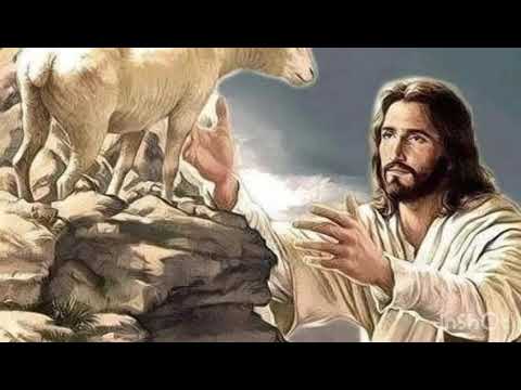 Zoti eshte Bariu im🙏🏻