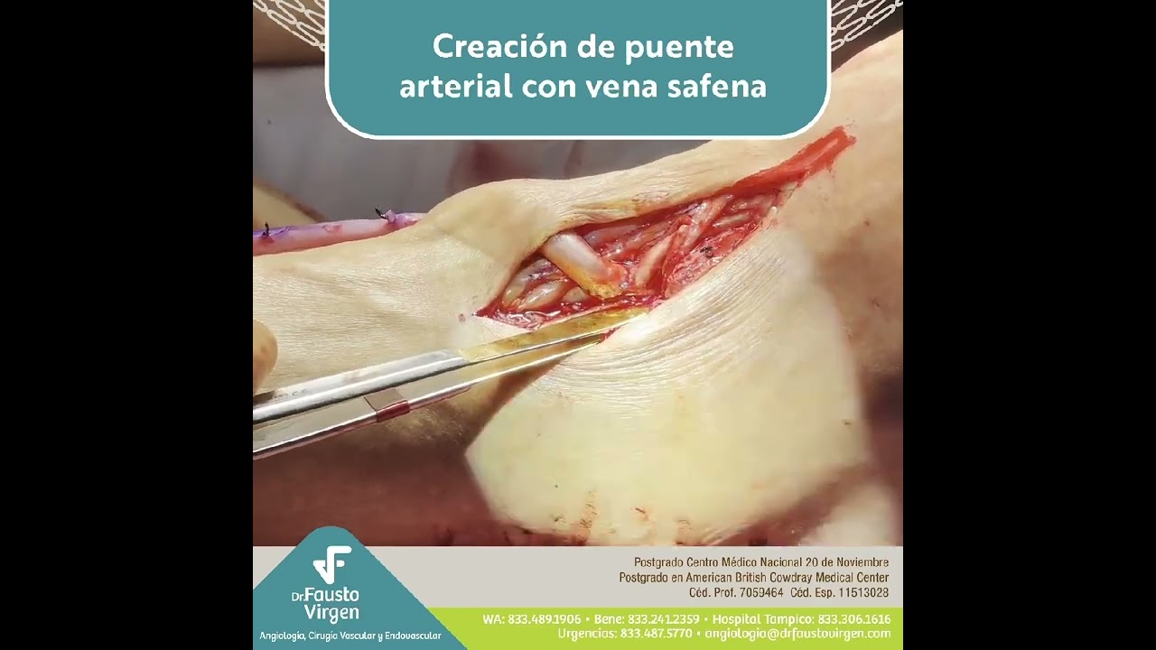 Fausto J. Virgen Barrón-22