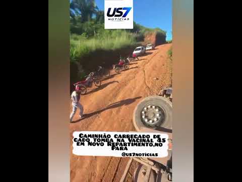 Caminhão carregado de gado tomba na Vacinal 45 em Novo Repartimento,no Pará.