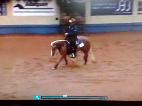 Shawn Flarida- Wimpys Little Chic