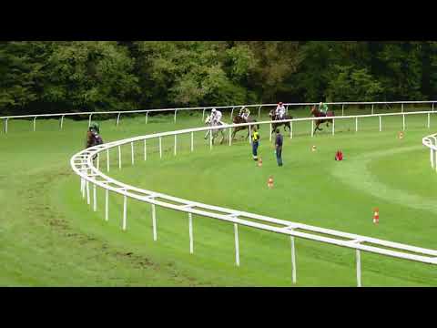 Aarau/10.09.2017/Preis der Aargauischen Kantonalbank (Hurdenrennen)