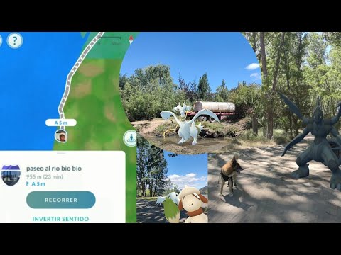 Ruta en el río Bio Bío con Reshiram en el estero Hualqui y un camión sacándole agua a diario 