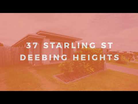  37 Starling Street