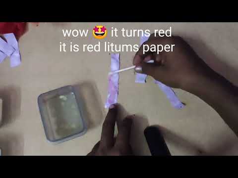 science project | red and blue litmus paper | chemistry | kvkm channel
