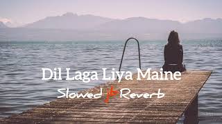 Dil Laga Liya Maine  Slowed Reverb  Song  Udit Nar