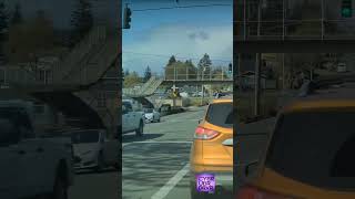 Car Cuts Corner from Wrong Lane, Causes Traffic Jam! #uber #seattle #teslacam