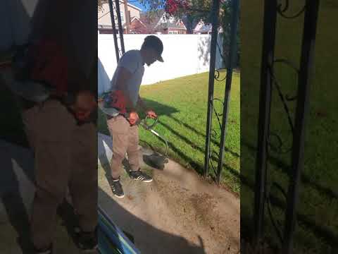 Dirt Docs Cleaning Service video.