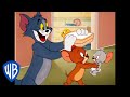Tom y Jerry en Latino | Dibujos animados clásicos 141 | WB Kids