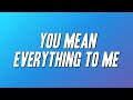 Neil Sedaka You Mean Everything To Me Lyrics