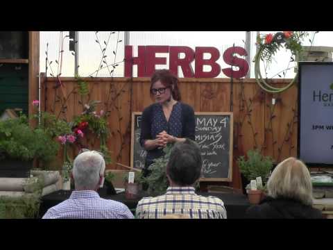 Why Artemisias Are Important for Health