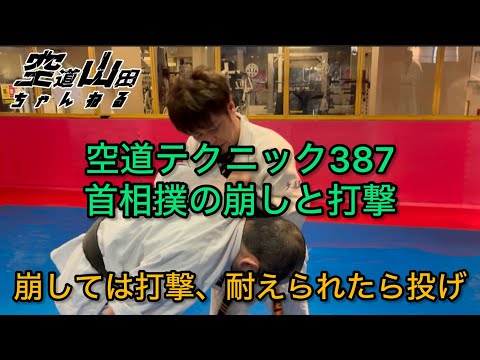 【武道】空道テクニック387「首相撲の崩しと打撃」【格闘技】