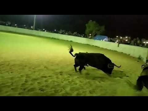 RAYO DE LUNA VS DANI LOPEZ, TORNEO DE LAZO 2020