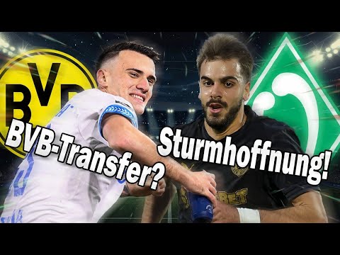BVB: Kommt Stankovic im Winter? Werder Bremen holt Milosevic!