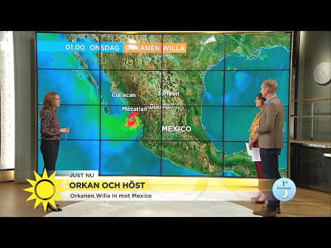 Orkan och höstrusk i morgonens väderrapport - Nyhetsmorgon (TV4)