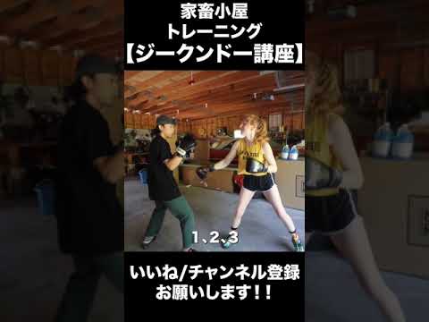 3カウントジャブカウンター　-超初級-【ジークンドー講座】