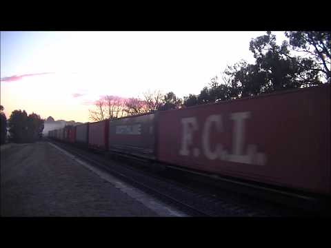 Pacific National 5SP5 Freight Train through fog at dawn - Australian Trains