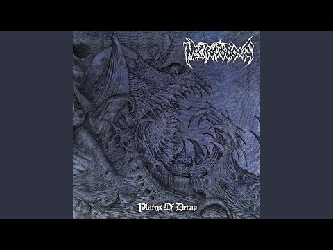 The Sun Has Risen in a Land I No Longer See