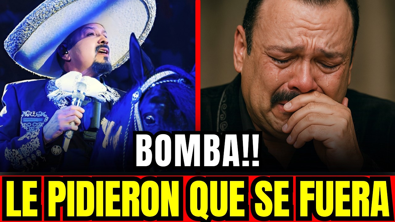 YouTube Thumbnail Downloader FULL HQ IMAGE