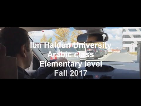 Video Sample