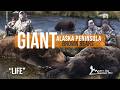 SEASON 7 - LIFE | Alaska Brown Bear Hunting - Modern Day Mountain Man