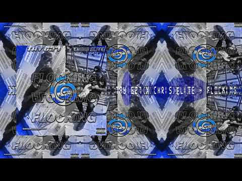Tay 627 x Chris Èlite - Flocking (Audio)