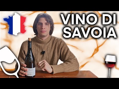 Un VINO FRANCESE che non ti aspetti 🍷🇫🇷👀