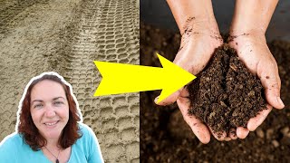 AVOID THESE TWO METHODS! How to Improve clay soil