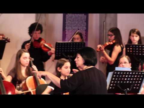 F. Lehar - "The Merry Widow" Duett from Finale - arr. for string orchestra