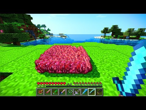 5000 ET VEREN YASAKLANMIŞ MİNECRAFT İTEMLERİ  - Minecraft