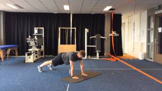 2.3 Plank with shoulder-tap