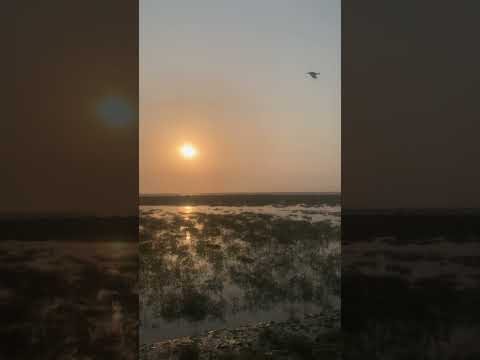 Where sky meets land #trending #viral #reels #surat #shorts