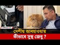 সাইবেরিয়ান ‘জেবু’ বাংলাদেশে কীভাবে খাপ খায়, যত্ন হবে কেমন | Tarique Rahman | Jebu Cat | Jago News