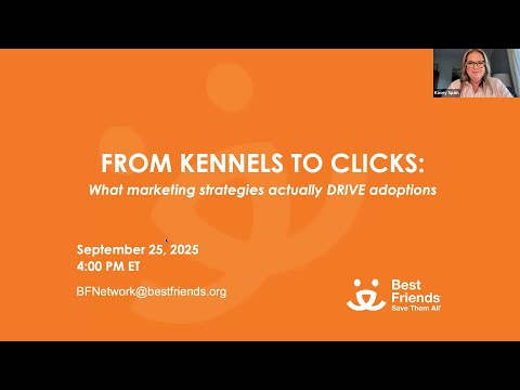 From Kennels to Clicks: What Marketing Strategies Actually Drive Adoptions