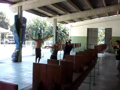 il ballo della scimmia