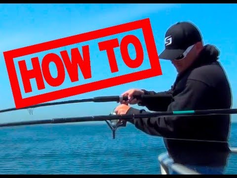🎣 Deep Sea Fishing Australia: Did You Know Over 3.5 Million Aussies Fish Each Year? Here’s How You Can Join ‘Em!