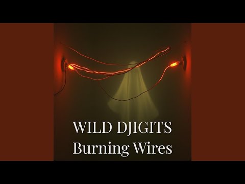 Burning Wires