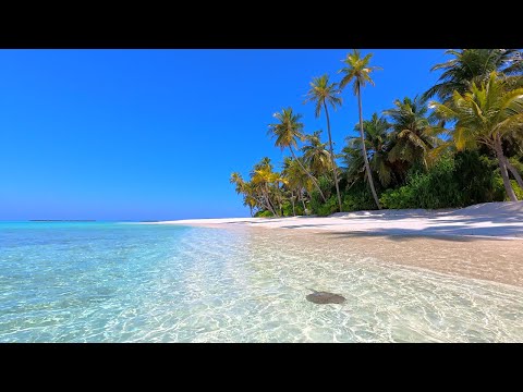 🏝 Paradise Found: Maldives Beach and Crystal Turquoise Waters. Ocean 4K Ultra HD