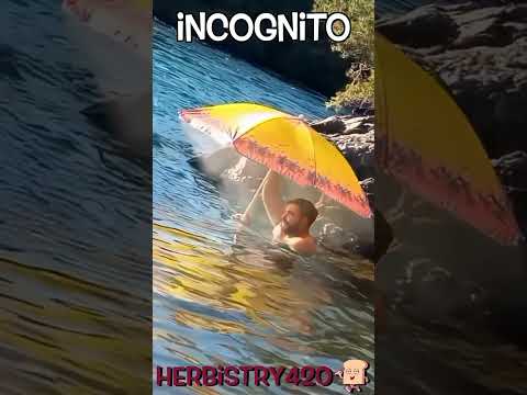 Weed Incognito Meme: 5 Brilliant Ways to Sesh in Plain Sight