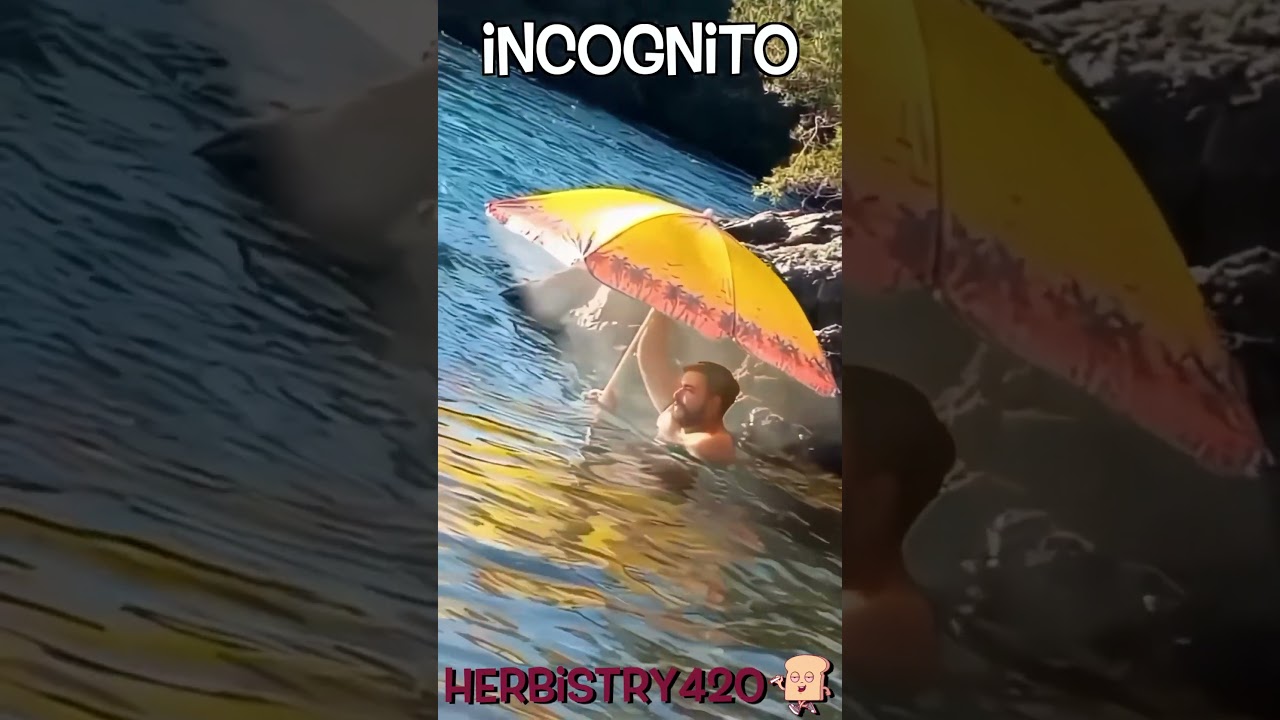 Weed Incognito Meme: 5 Brilliant Ways to Sesh in Plain Sight