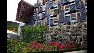 Immersive Tour: The Members' Garden