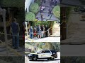 An armed suspect opened fire outside Chris Brown's LA mansion — but the alleged shooter was a privat