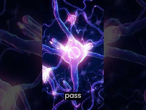 How Neurons communicate #neurons  #neurology #neuroscience