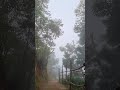 Cloud Status WhatsApp Status Megha Re Megha Shorts