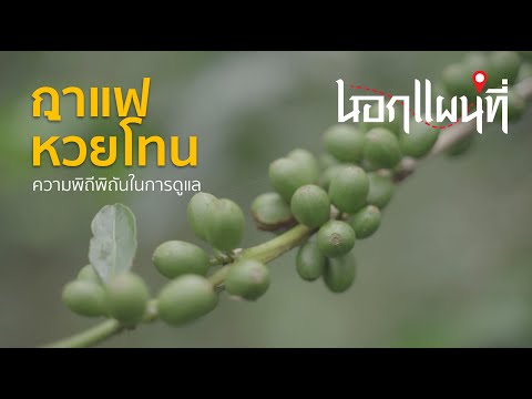 นอกแผนที่ EP.11